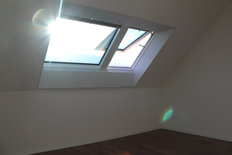 Empty room, white walls, wooden floor, skylight windows