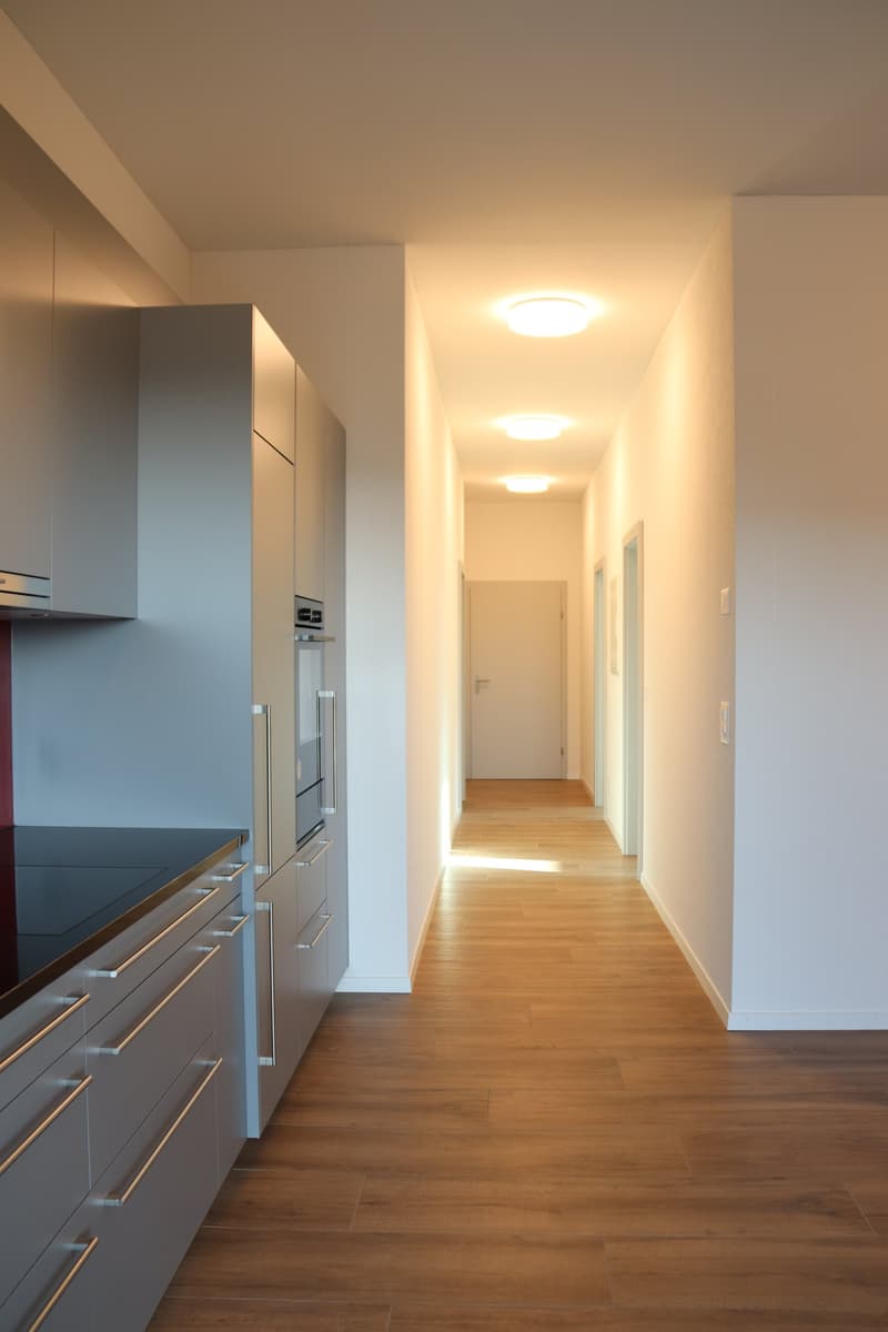 white walls, wooden floor, recessed lighting, stainless steel kitchen cabinets, built-in oven, dark countertop