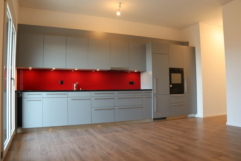 Modern kitchen, gray cabinets, wooden floor, red splashback, stainless steel faucet, built-in oven
