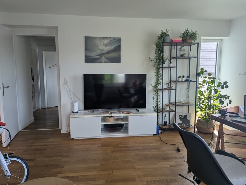 Charmante 4-Zimmer-Wohnung mit Balkon in Täuffelen (2)