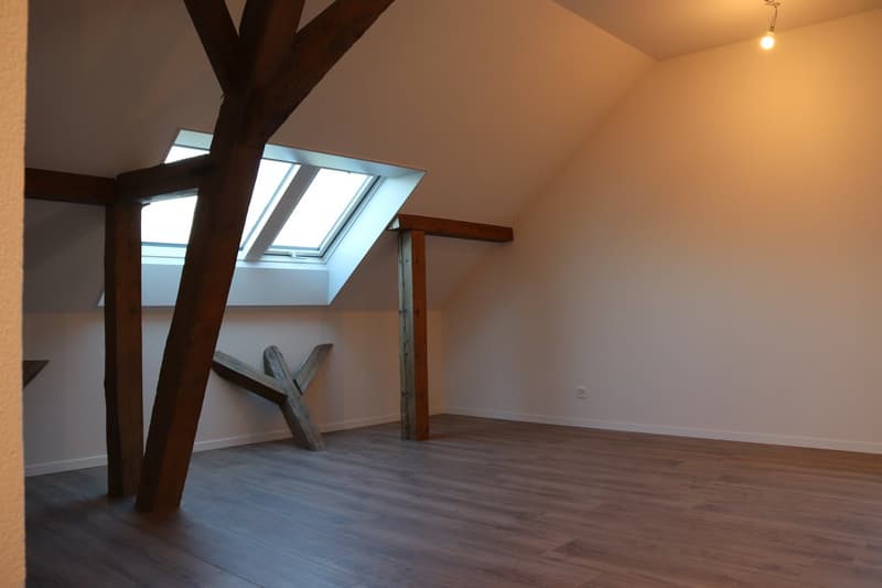 Moderne 3-Zimmer-Wohnung (4)