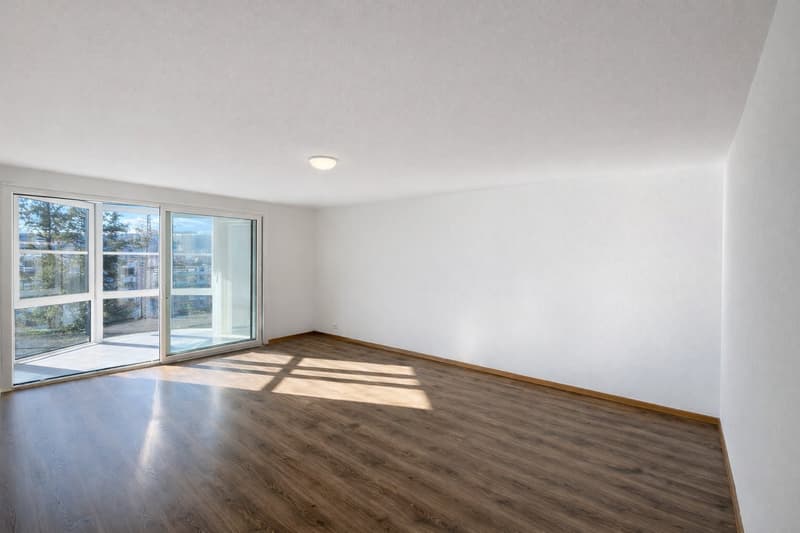 Spacieux et Charmant 3.5 pièce avec Grand Balcon et Parking  ! (7)