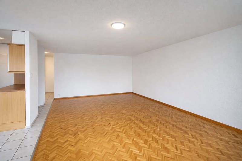 Spacieux et Charmant 3.5 pièce avec Grand Balcon et Parking  ! (3)