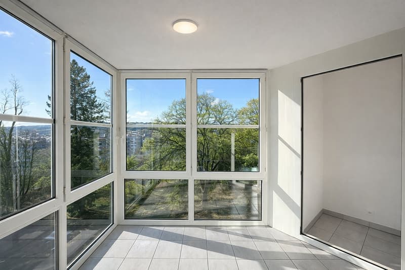 Spacieux et Charmant 3.5 pièce avec Grand Balcon et Parking  ! (8)