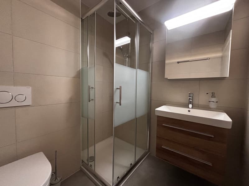 Enclosed shower, white toilet, sink, wooden cabinet, mirror