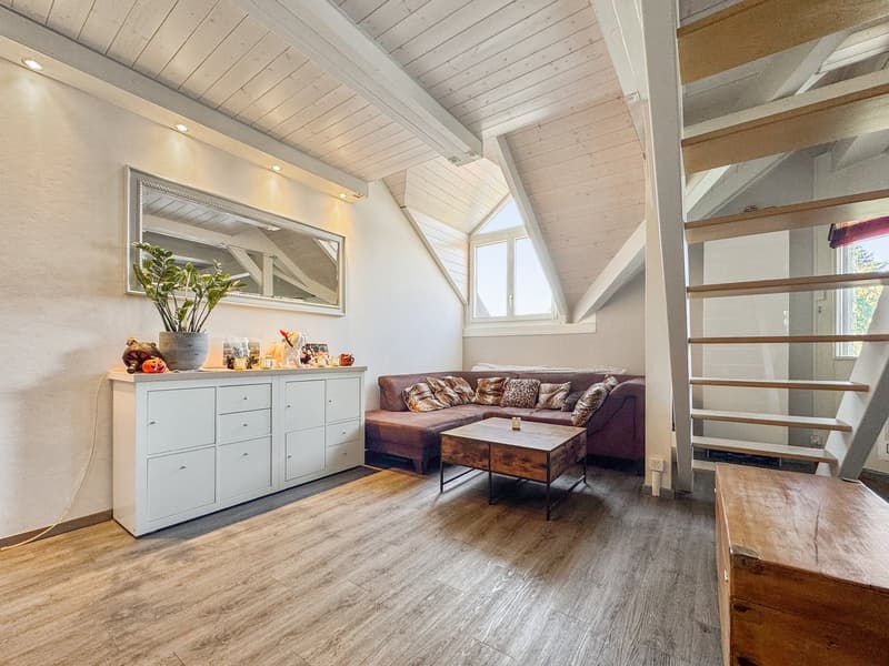 En Exclusivité. Superbe attique en duplex dans une résidence calme (4)