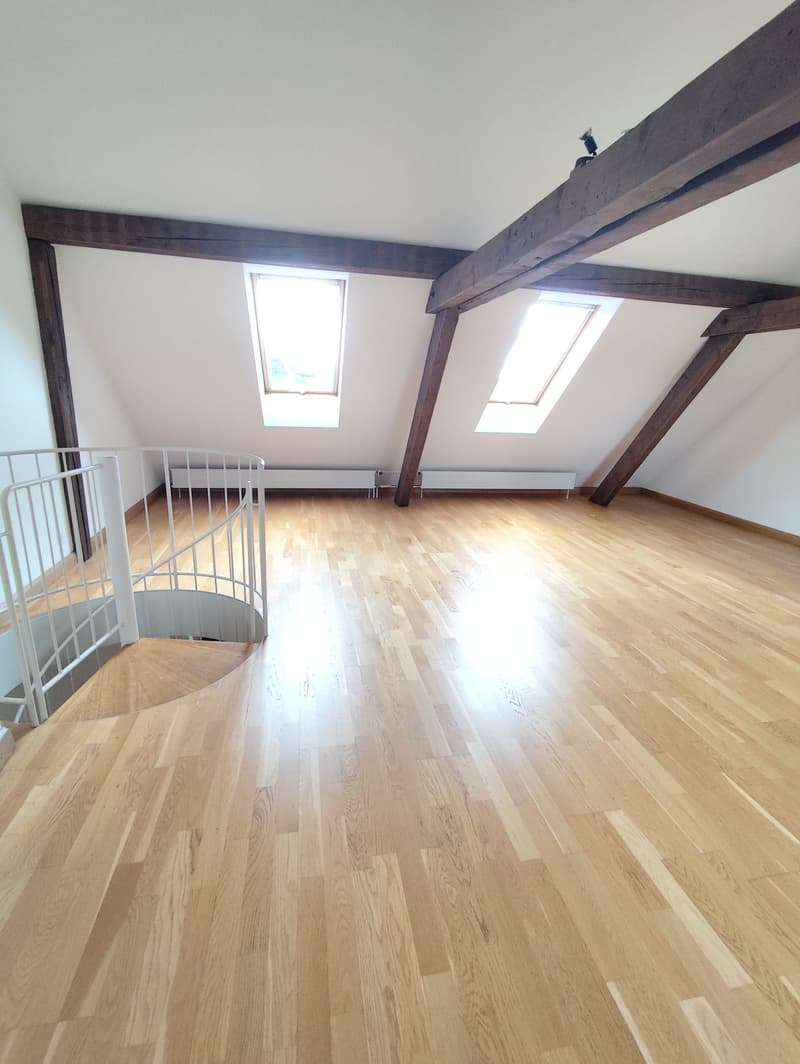 Appartamento di 3 locali in un edificio storico con fascino di maisonette - vicino al Reno (8)