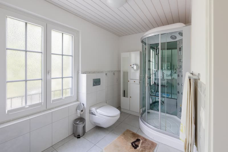 modern bathroom with white tiles, glass shower, toilet, cabinet, window, rug
