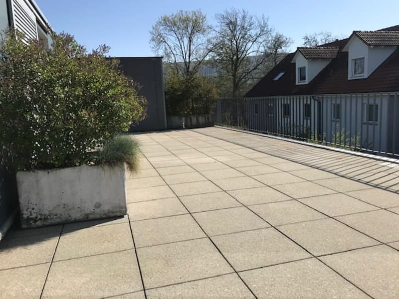 Moderne 3-Zimmer-Dachwohnung in ruhiger Lage von Therwil (2)