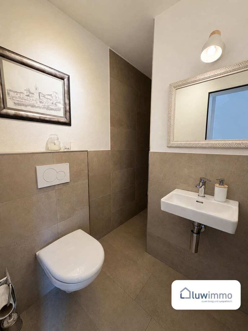 Modernes 6.5-Zimmer-Doppeleinfamilienhaus in Flüh – Raum für Familie, Arbeit und Natur (4)