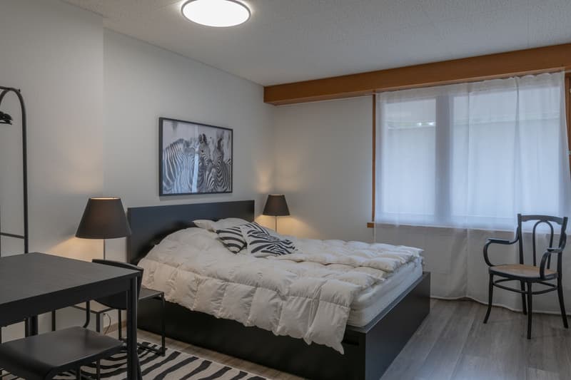 Helle 3.5-Zimmer-Wohnung am Winkelriedplatz in Basel (6)