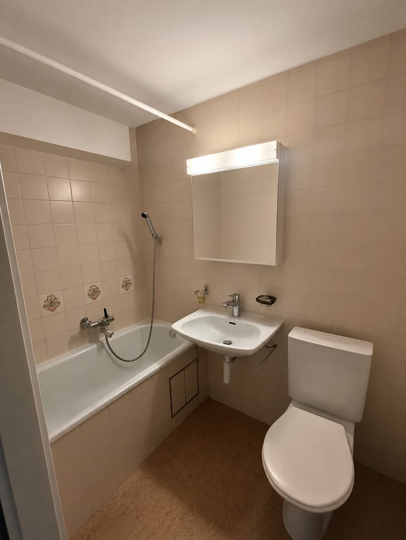 Charmante 2-Zimmer-Wohnung mit zwei Balkone in Basel (6)
