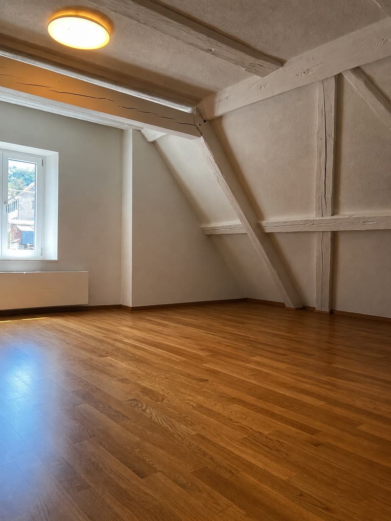 Gemütliche 3-Zimmer-Wohnung in Flüh (7)