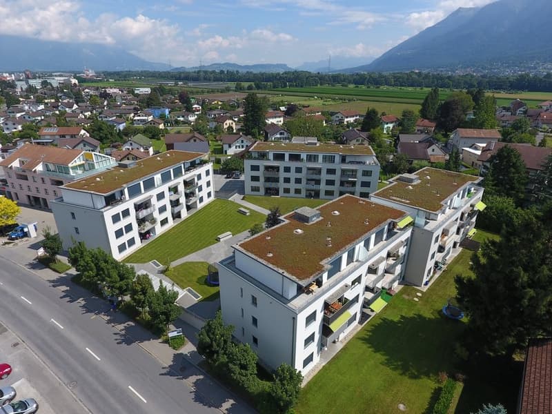 DJI_0006.JPG