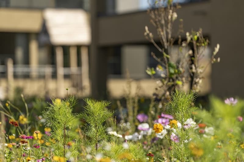modernes, ökologisches Wohnen in der Neuüberbauung Sirius (2)