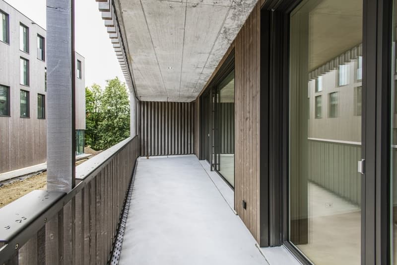 Ihr neues Zuhause (3)