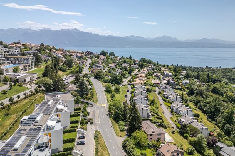 Monts-de-lavaux_5A_-_Belmont_-_drone-7.jpg