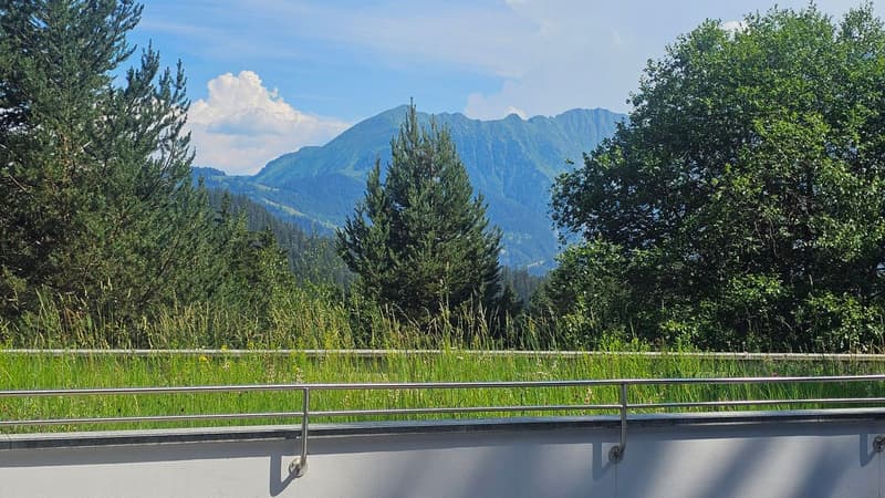 ALPINE FERIENWOHNUNG MIT TRAUMTERRASSE UND SPA (2)