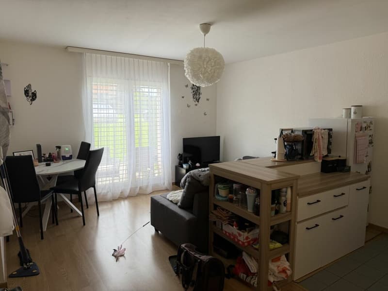 Châtel- Saint-Denis Studio 1 - Lot B3 (1)
