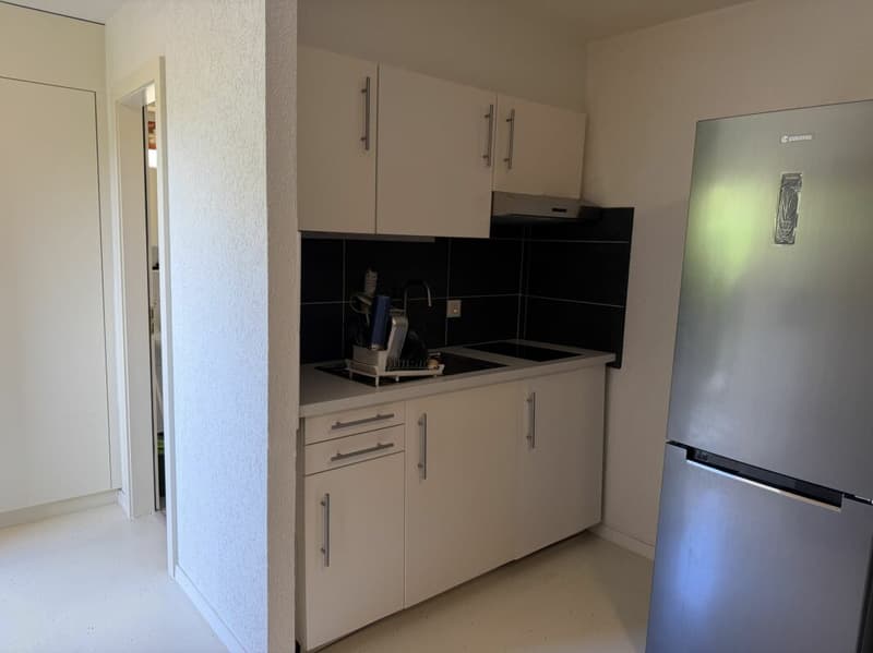 Châtel- Saint-Denis Studio 4 - B5 (2)