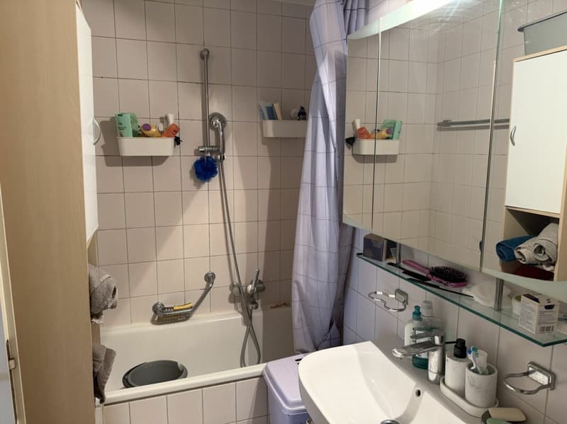 Châtel- Saint-Denis Appartement 7 - B6 (13)