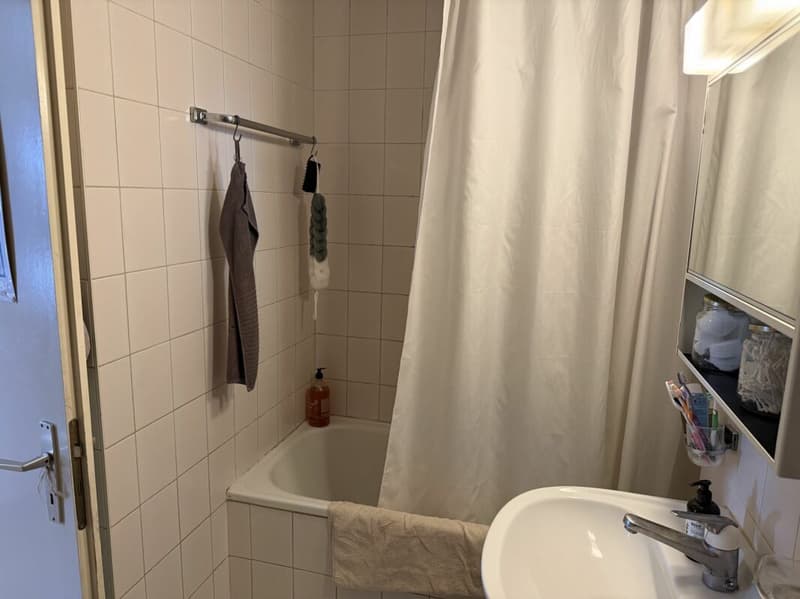 Châtel- Saint-Denis Appartement 8 - B8 (14)