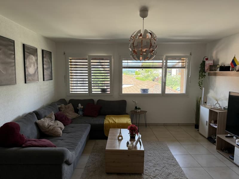 Châtel- Saint-Denis Appartement 11 - A8 (1)