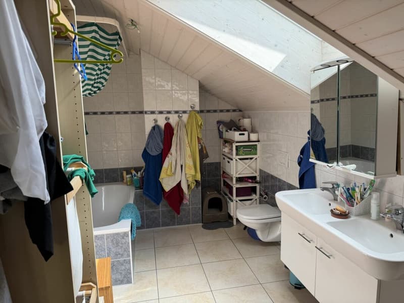 Châtel- Saint-Denis Appartement 14 - A9 (16)