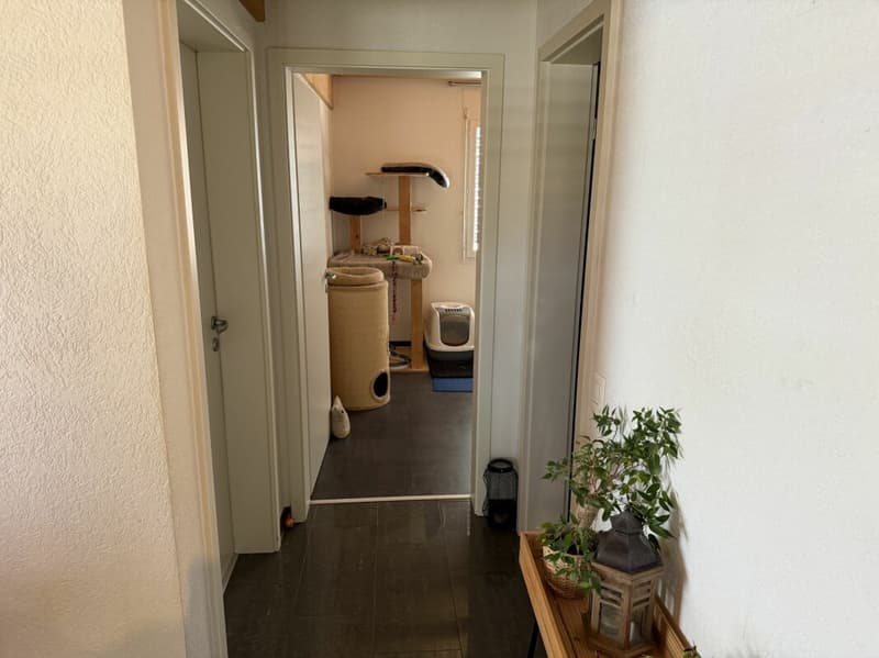 Belfaux -  Appartement A2 - 3.5pcs (10)