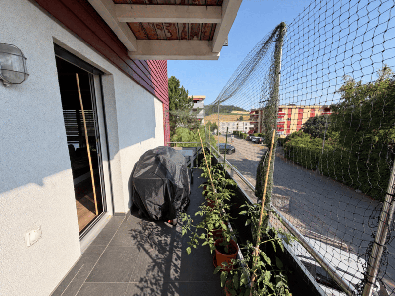 Belfaux - Appartement A2 - 3.5pcs (10)