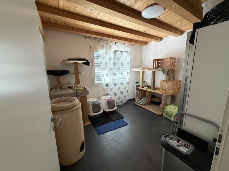 Belfaux -  Appartement A2 - 3.5pcs (11)