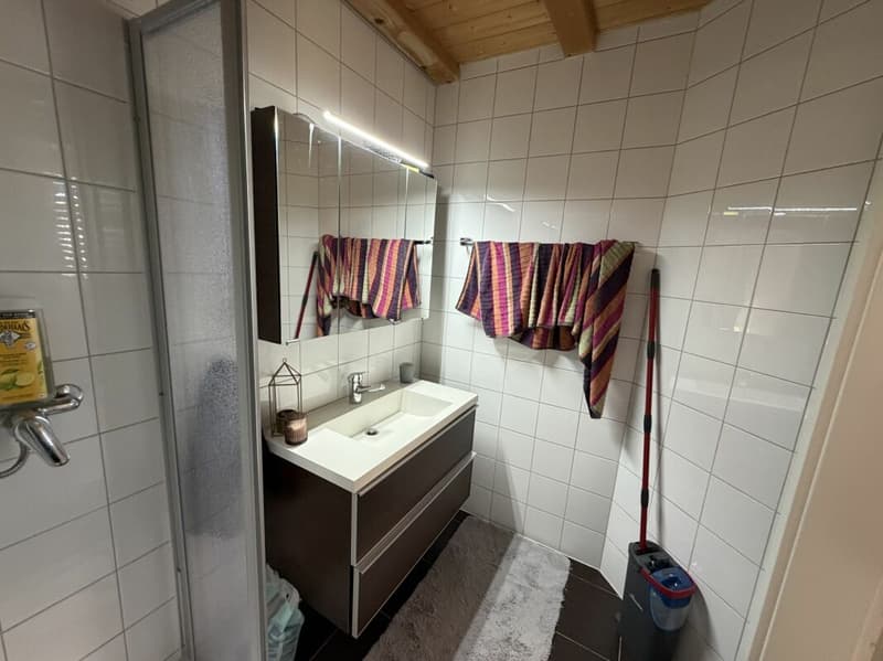 Belfaux - Appartement A5 - 4.5pcs (14)