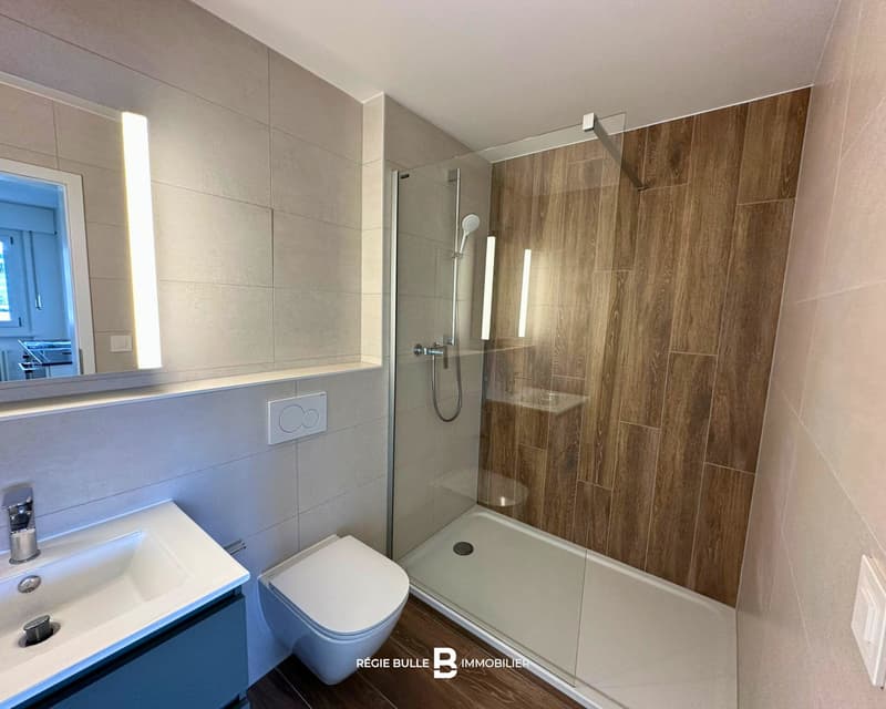 Bulle - Charmants appartements de 4.5 pièces rénovés (10)