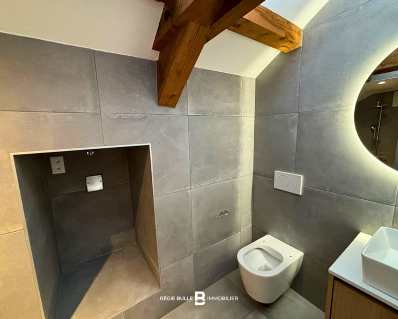 Bulle - Magnifique appartement à louer sous les combles (12)