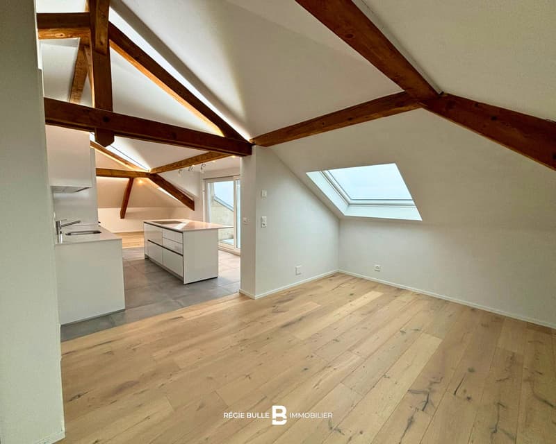 Bulle - Magnifique appartement à louer sous les combles (7)