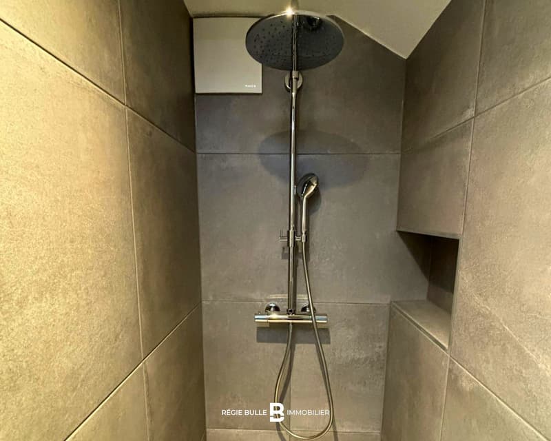 Bulle - Magnifique appartement à louer sous les combles (13)