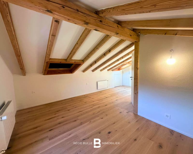 Le Bry - Magnifique villa rénovée avec superbe vue (7)