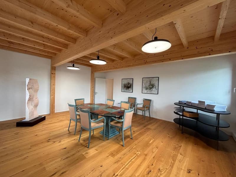 Farvagny - Magnifiques bureaux à louer (4)