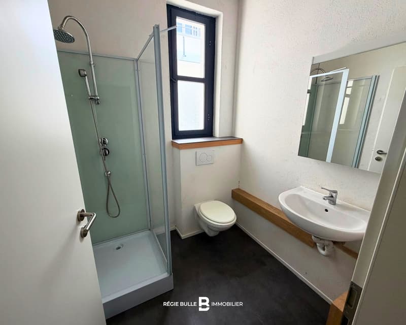Bulle - atelier et/ou bureaux à louer (7)