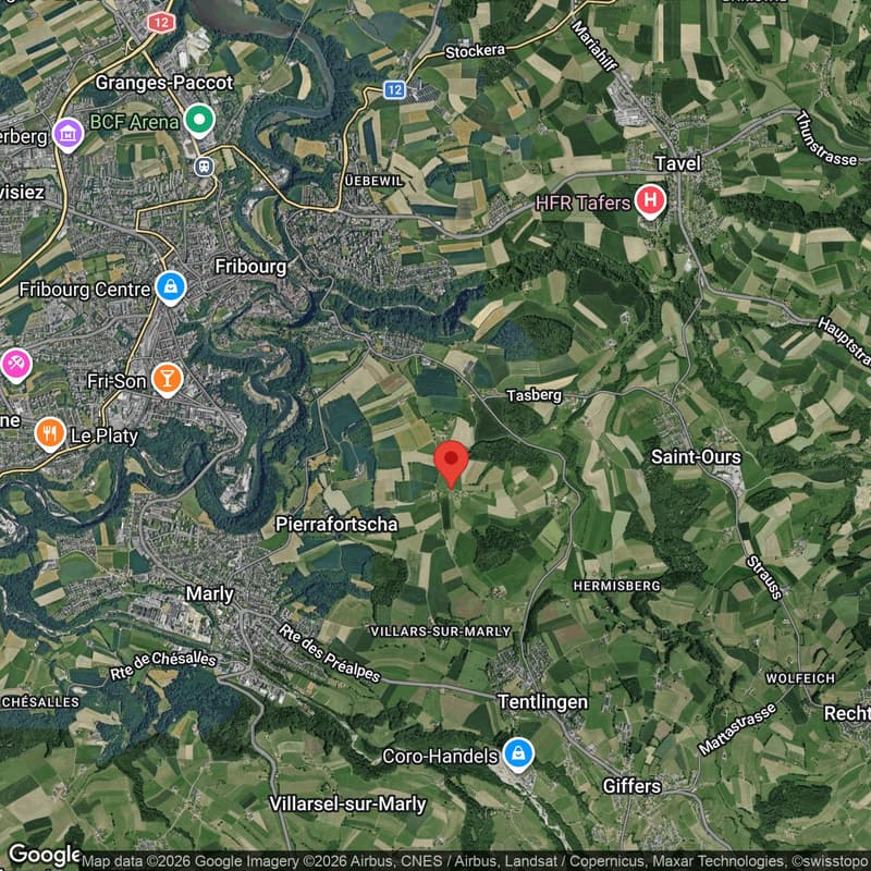 Pierrafortscha – 2.5 pièces au cœur de la campagne fribourgeoise (21)