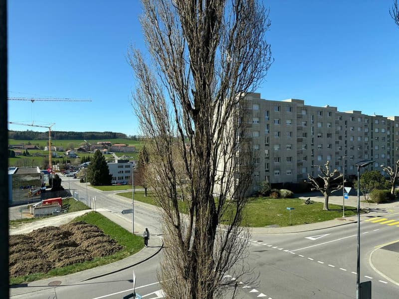 Charmant 3.5 pièces à louer à Romont (7)