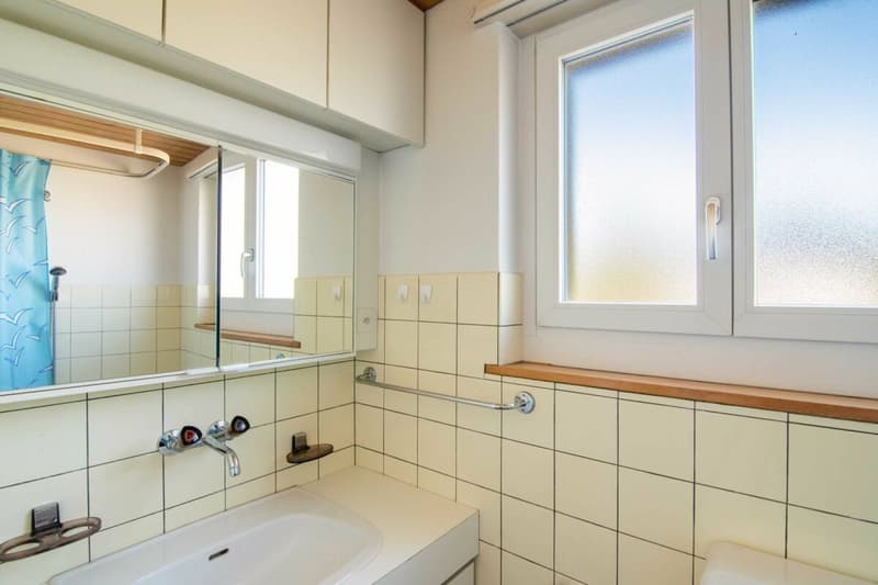 Freistehendes 8.5 Zimmer Ein- oder Zweifamilienhaus mit Raum & Zeit für Ihr Familienleben und Ihre persönlichen Ideen! (13)