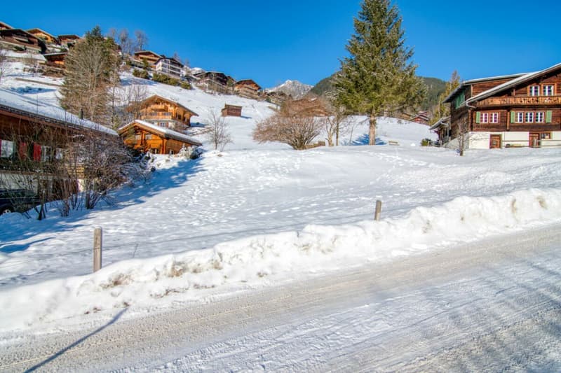 Exklusives Bauland an bester Sonnenhanglage in Grindelwald - Wohnen mit Panoramablick, ideal für ein Ein- oder Zweifamilienhaus (5)