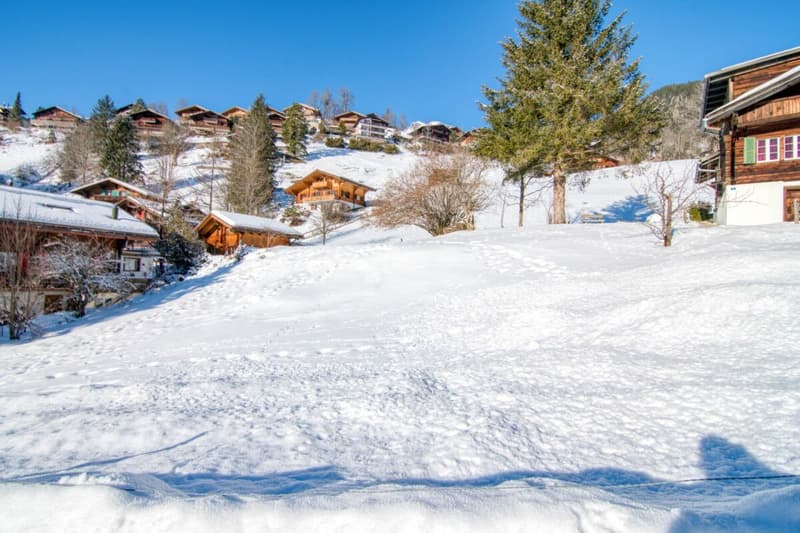 Exklusives Bauland an bester Sonnenhanglage in Grindelwald - Wohnen mit Panoramablick, ideal für ein Ein- oder Zweifamilienhaus (8)