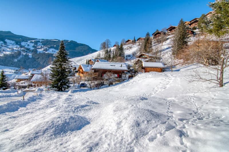 Exklusives Bauland an bester Sonnenhanglage in Grindelwald - Wohnen mit Panoramablick, ideal für ein Ein- oder Zweifamilienhaus (12)