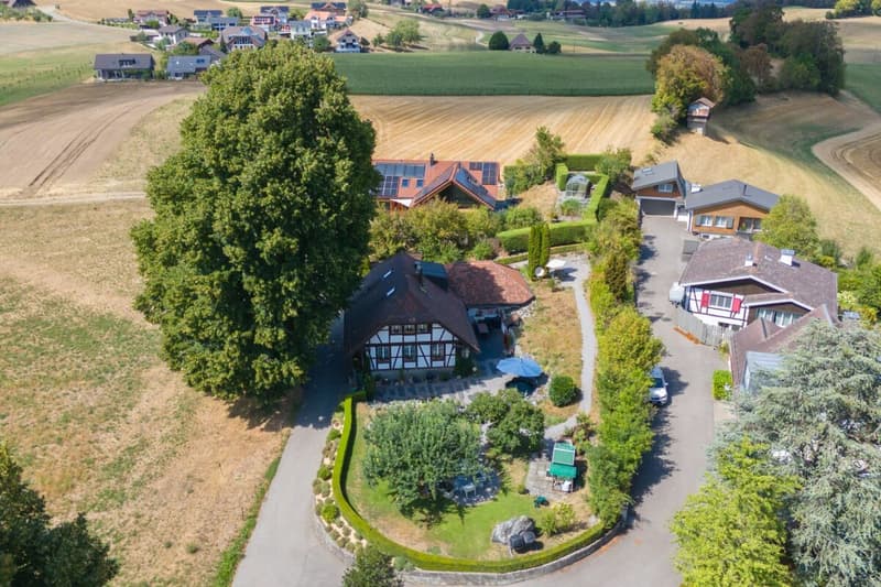 Taunerhaus mit baubiologischer Substanz und Gartenparadies (14)