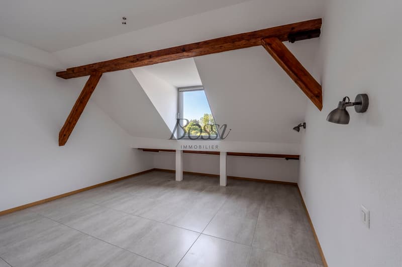 Apples - comme une maison : cachet, volumes, vue lac et gare à 700 m (10)