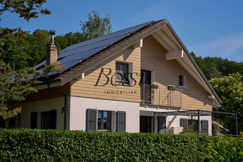 Vue lac & Mont-Blanc, rénovation complète et confort moderne (2)