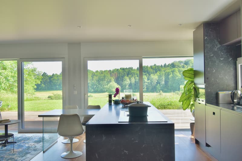 Un appartement de 4.5 pièces moderne à l'abri des regards (2)