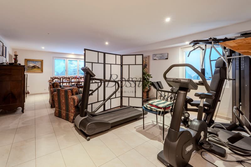 Duplex lumineux à Nyon avec terrasse, dépendance et ascenseur privé (13)
